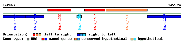 gene map