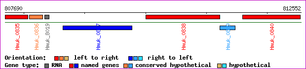 gene map