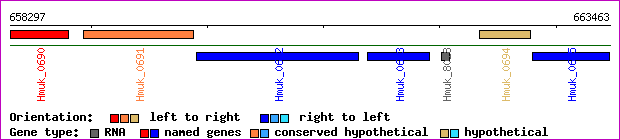 gene map