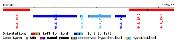gene map