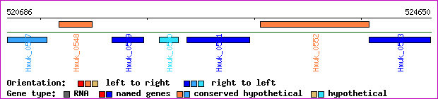 gene map