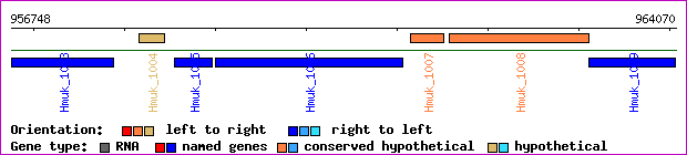 gene map