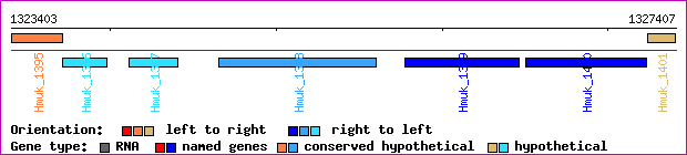 gene map