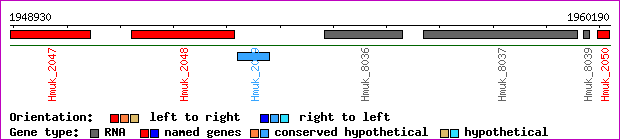 gene map