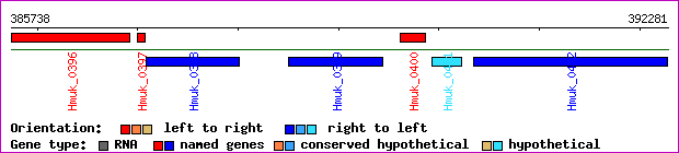 gene map