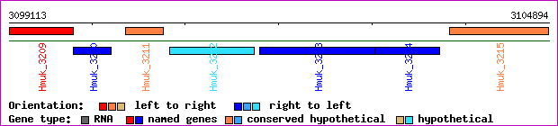 gene map