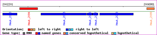 gene map