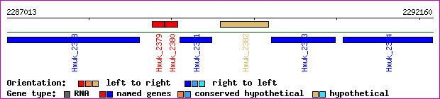 gene map