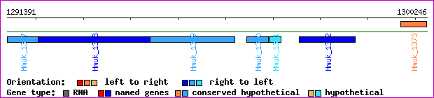 gene map