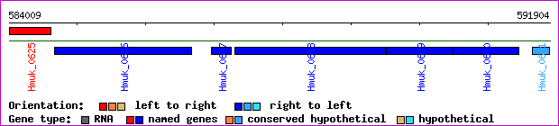 gene map