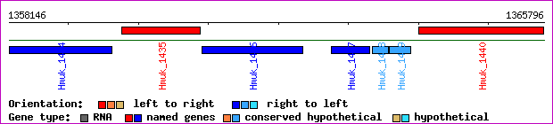 gene map