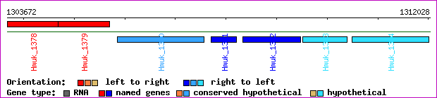 gene map