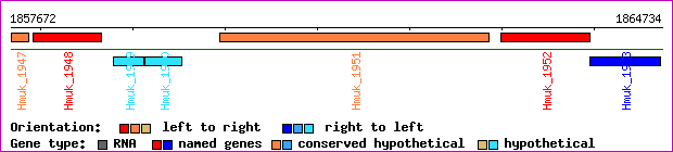 gene map