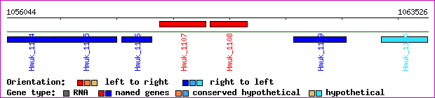 gene map
