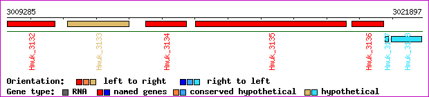 gene map