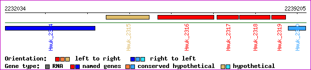 gene map