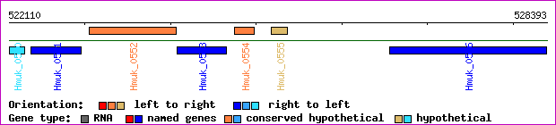 gene map