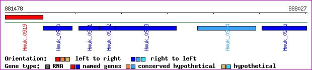 gene map