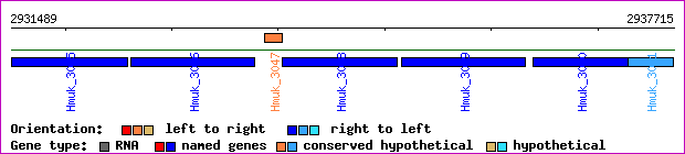 gene map
