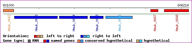 gene map