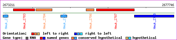 gene map