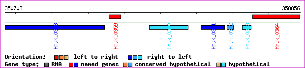 gene map