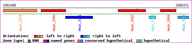 gene map