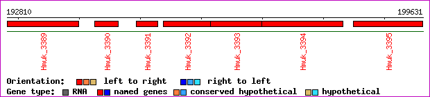gene map