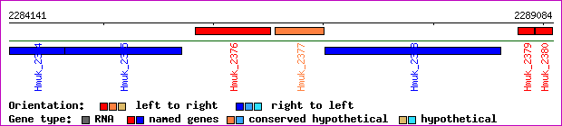 gene map