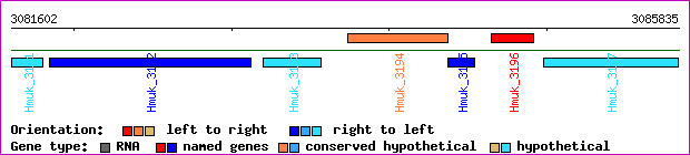gene map