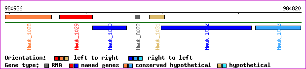 gene map