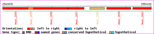 gene map