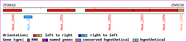 gene map