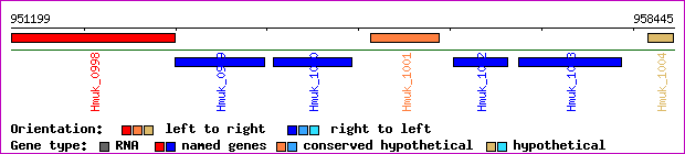 gene map