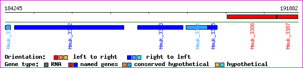gene map