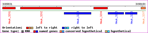 gene map