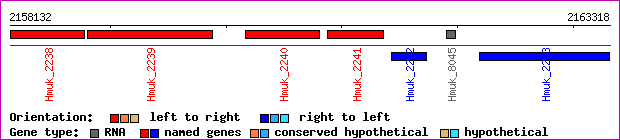 gene map