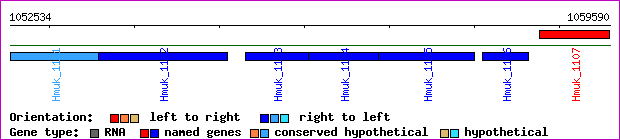 gene map
