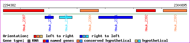 gene map