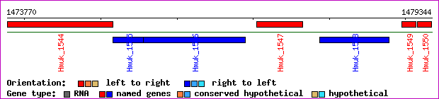gene map