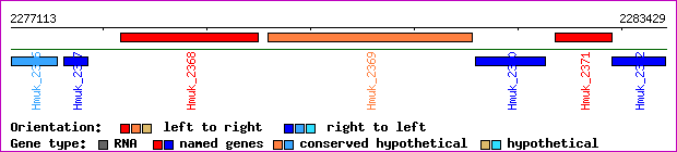 gene map