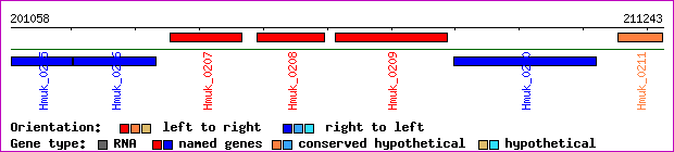 gene map