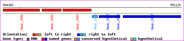 gene map