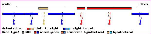 gene map