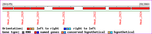 gene map