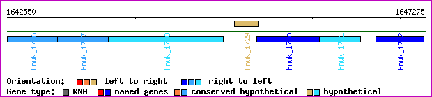 gene map