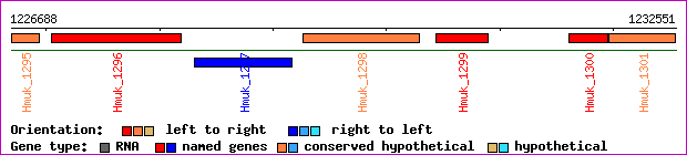 gene map