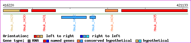 gene map