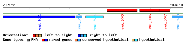 gene map