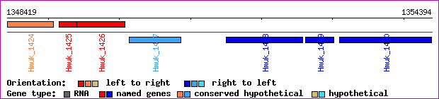 gene map